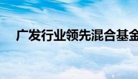 广发行业领先混合基金（广发行业领先）