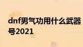 dnf男气功用什么武器（dnf男气功带什么称号2021