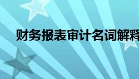 财务报表审计名词解释（财务报表审计）