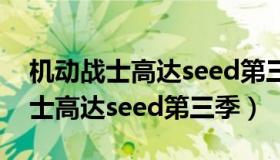 机动战士高达seed第三季天使与龙（机动战士高达seed第三季）