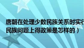 唐朝在处理少数民族关系时实行什么政策（唐朝在处理少数民族问题上得政策是怎样的）