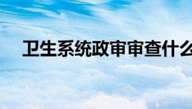 卫生系统政审审查什么（政审审查什么）