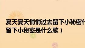 夏天夏天悄悄过去留下小秘密什么歌名（夏天夏天悄悄过去留下小秘密是什么歌）