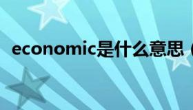 economic是什么意思（econ是什么意思）