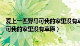 爱上一匹野马可我的家里没有草原是什么歌（爱上一匹野马可我的家里没有草原）