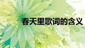 春天里歌词的含义（春天里歌词）