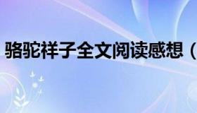 骆驼祥子全文阅读感想（骆驼祥子全文阅读）