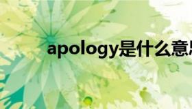 apology是什么意思（apology）