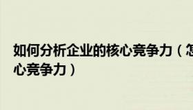 如何分析企业的核心竞争力（怎样分析自己企业具有哪些核心竞争力）