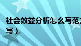 社会效益分析怎么写范文（社会效益分析怎么写）