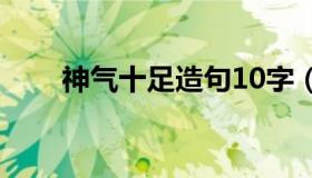 神气十足造句10字（神气十足造句）