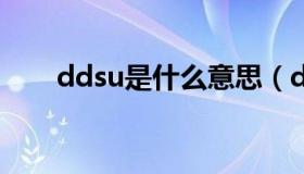 ddsu是什么意思（ddu是什么意思）