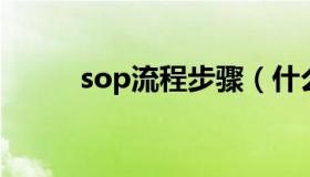 sop流程步骤（什么是SOP流程）