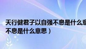 天行健君子以自强不息是什么意思20字（天行健君子以自强不息是什么意思）