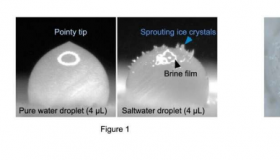 盐水滴冻结的分子见解