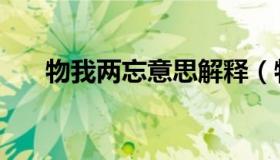 物我两忘意思解释（物我两忘的意思）