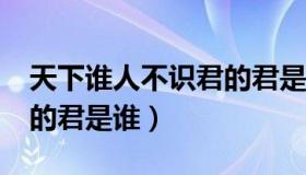 天下谁人不识君的君是谁?（天下谁人不识君的君是谁）