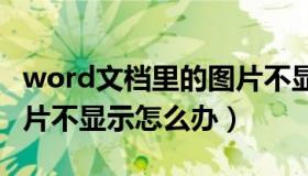 word文档里的图片不显示了（WORD文档图片不显示怎么办）