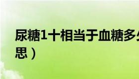 尿糖1十相当于血糖多少（尿糖1十是什么意思）