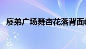 廖弟广场舞杏花落背面教学（廖弟广场舞）