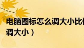 电脑图标怎么调大小比例显示（电脑图标怎么调大小）