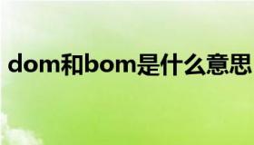 dom和bom是什么意思（bom是什么意思）