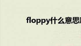 floppy什么意思啊（floppy）