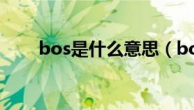 bos是什么意思（boss是什么意思）