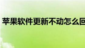 苹果软件更新不动怎么回事（苹果软件更新）