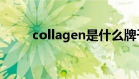 collagen是什么牌子（collagen）