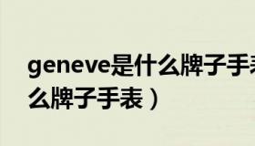 geneve是什么牌子手表价格（geneve是什么牌子手表）