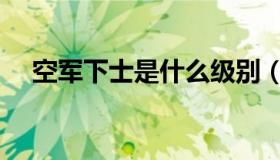 空军下士是什么级别（下士是什么级别）