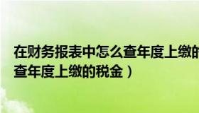 在财务报表中怎么查年度上缴的税金呢（在财务报表中怎么查年度上缴的税金）