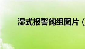 湿式报警阀组图片（湿式报警阀组）