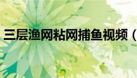 三层渔网粘网捕鱼视频（三层粘网捕鱼技巧）