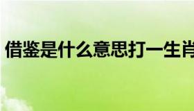 借鉴是什么意思打一生肖（借鉴是什么意思）