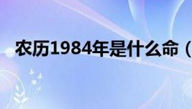 农历1984年是什么命（1984年是什么命）