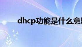 dhcp功能是什么意思（dhcp功能）