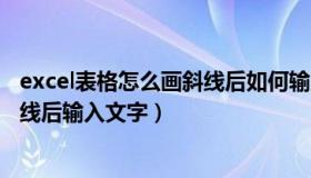 excel表格怎么画斜线后如何输入文字（excel表格怎么画斜线后输入文字）