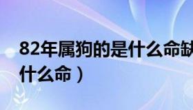 82年属狗的是什么命缺什么（82年属狗的是什么命）