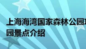 上海海湾国家森林公园攻略（上海海湾森林公园景点介绍