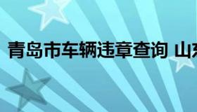 青岛市车辆违章查询 山东车辆违章查询系统