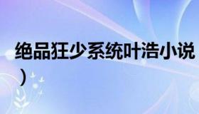 绝品狂少系统叶浩小说（极品狂少叶帆笔趣阁）