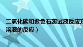 二氧化碳和紫色石蕊试液反应方程式（二氧化碳与紫色石蕊溶液的反应）