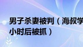 男子杀妻被判（海叔学法：男子杀妻逃窜22小时后被抓）