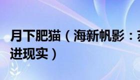 月下肥猫（海新帆影：苏轼词中的月下放歌走进现实）