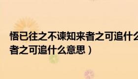 悟已往之不谏知来者之可追什么意思呢（悟已往之不谏知来者之可追什么意思）