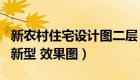 新农村住宅设计图二层 农村房屋设计图 两层 新型 效果图）