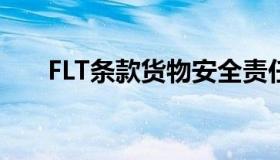 FLT条款货物安全责任划分（flt条款）