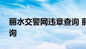 丽水交警网违章查询 丽水市交警支队违章查询